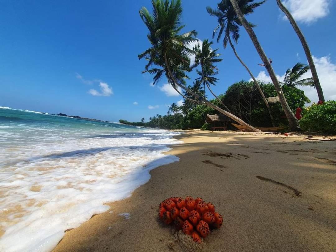 Turtle Beach House Batigama Luaran gambar