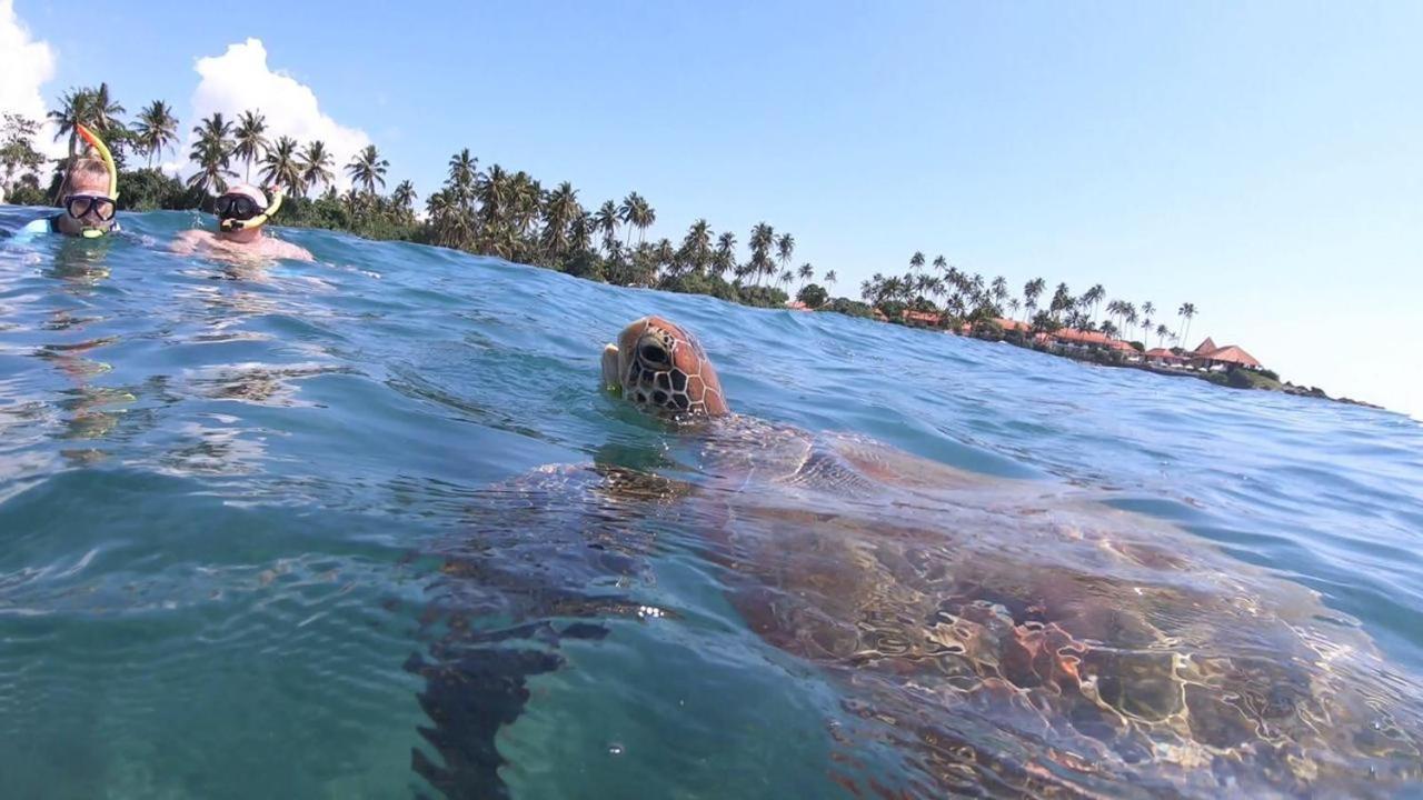 Turtle Beach House Batigama Luaran gambar