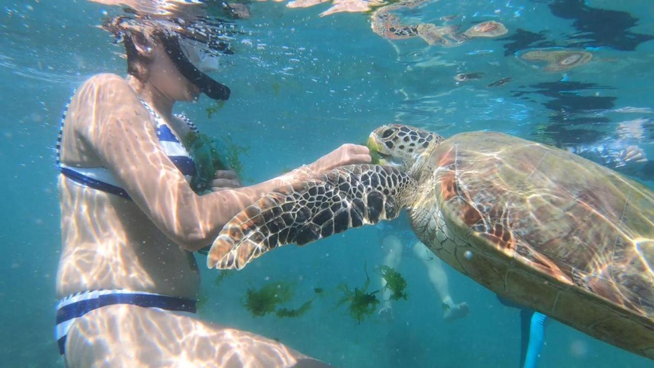 Turtle Beach House Batigama Luaran gambar