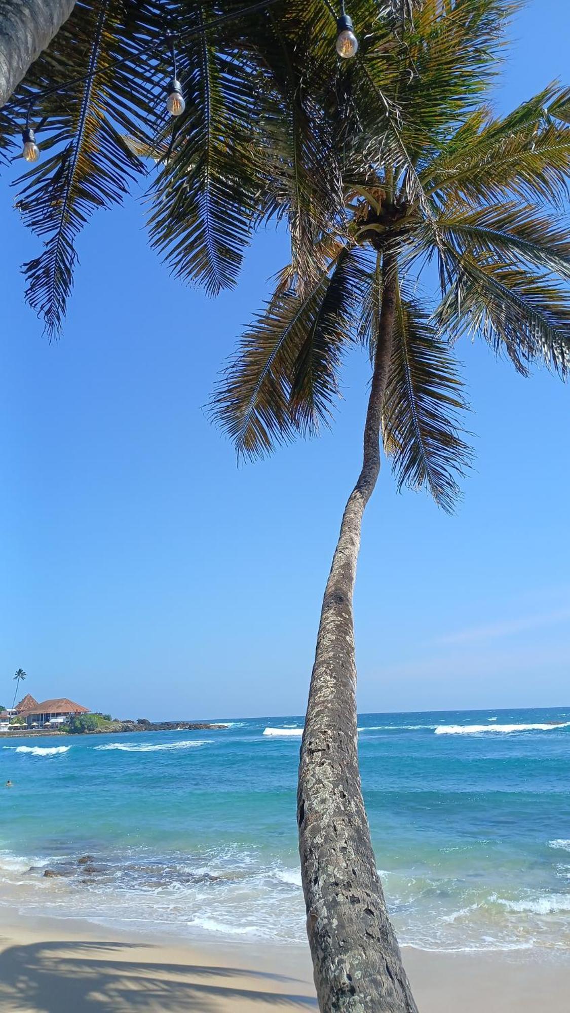 Turtle Beach House Batigama Luaran gambar